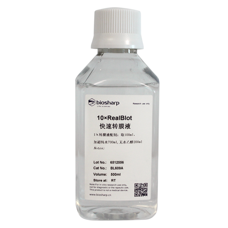 10×RealBlot快速转膜液 biosharp实验室专用